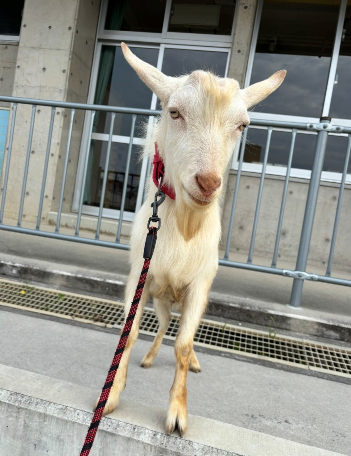 糸満市潮平児童クラブ　第二の画像4